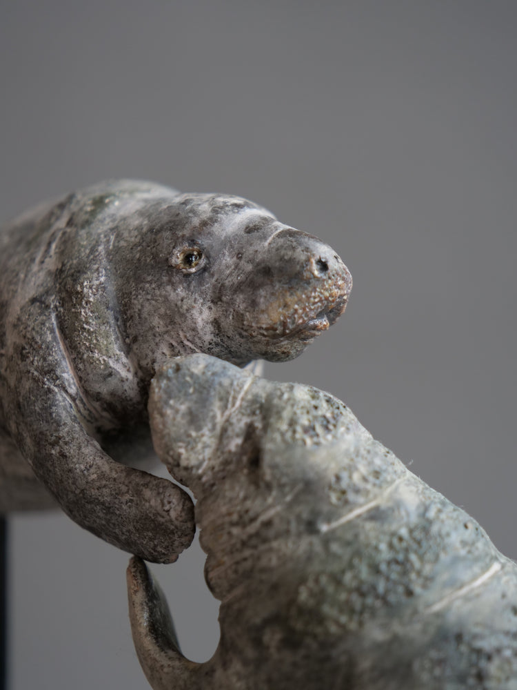 Carl & Ellie: Manatees Couple