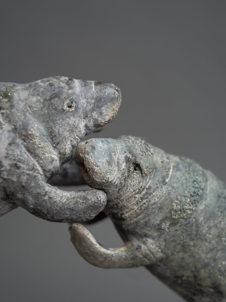 Carl & Ellie: Manatees Couple