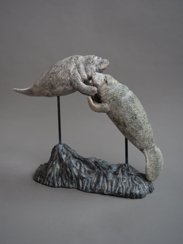 Carl & Ellie: Manatees Couple