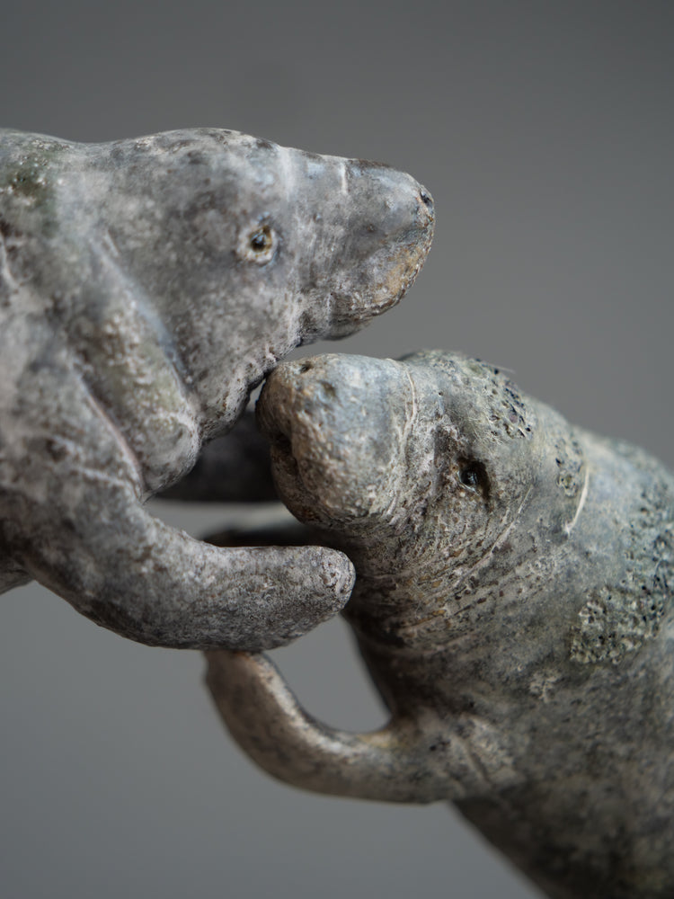 Carl & Ellie: Manatees Couple