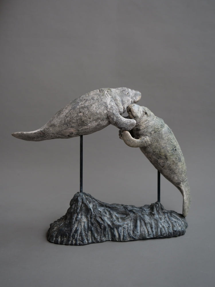 Carl & Ellie: Manatees Couple