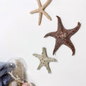 Starfish family made of ceramics mounted on wall, seaside creatures, coastal style stars