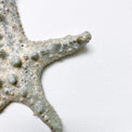 Starfish family made of ceramics mounted on wall, seaside creatures, coastal style stars