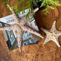 Starfish couple made of ceramics mounted on wall, seaside creatures, coastal style stars