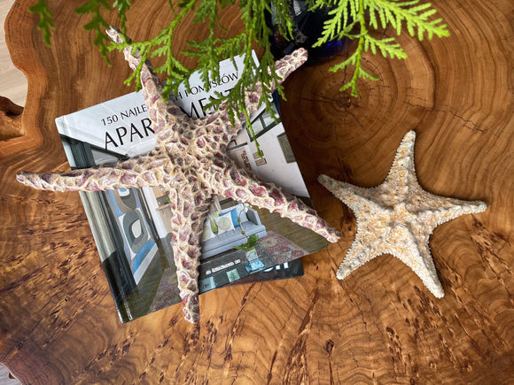 Starfish couple made of ceramics mounted on wall, seaside creatures, coastal style stars