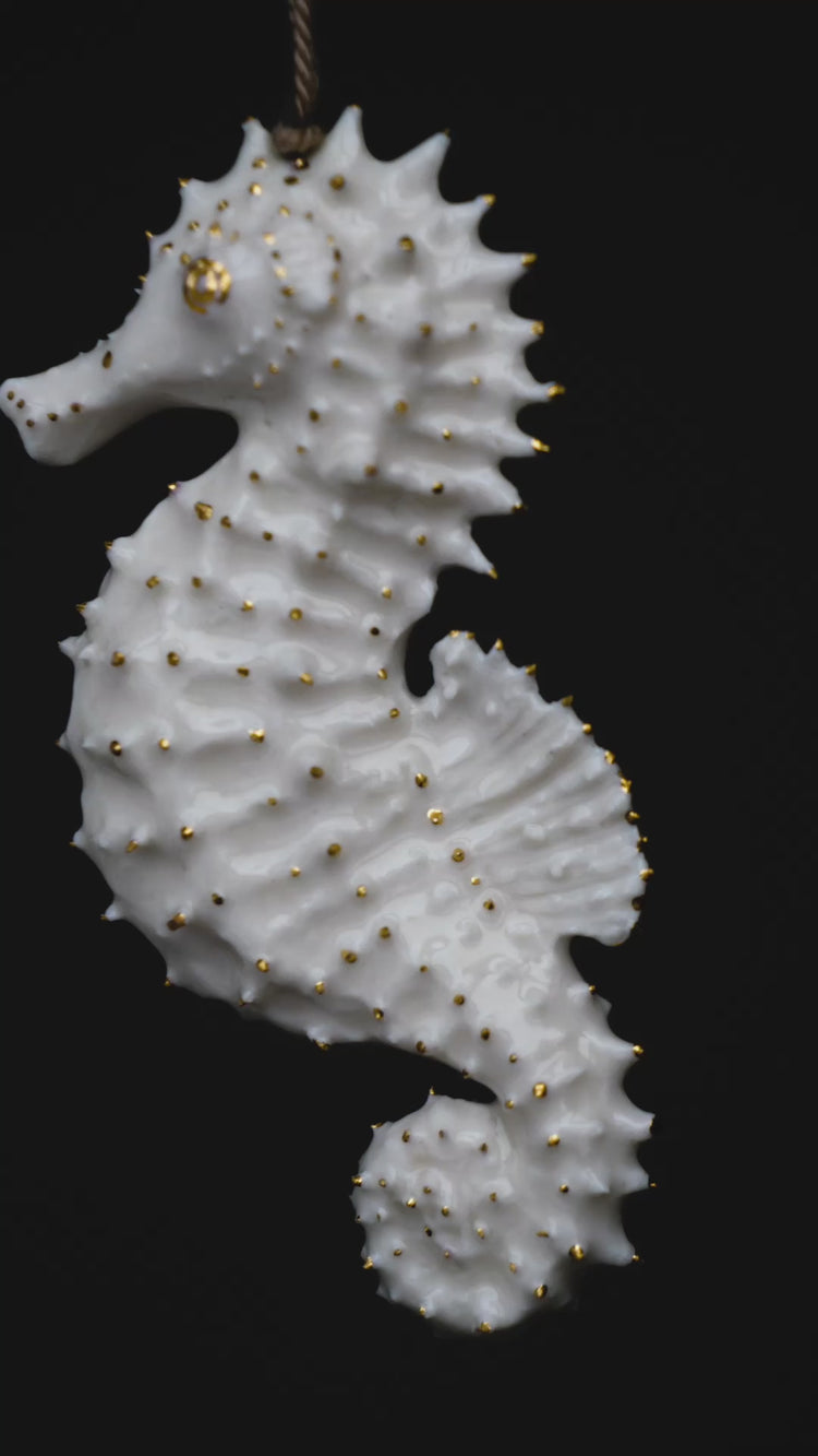 Seahorse Albert