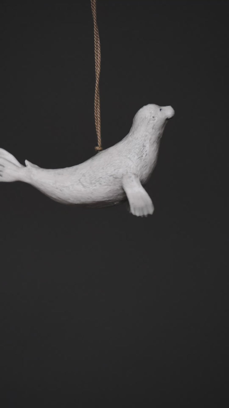Seal Ava