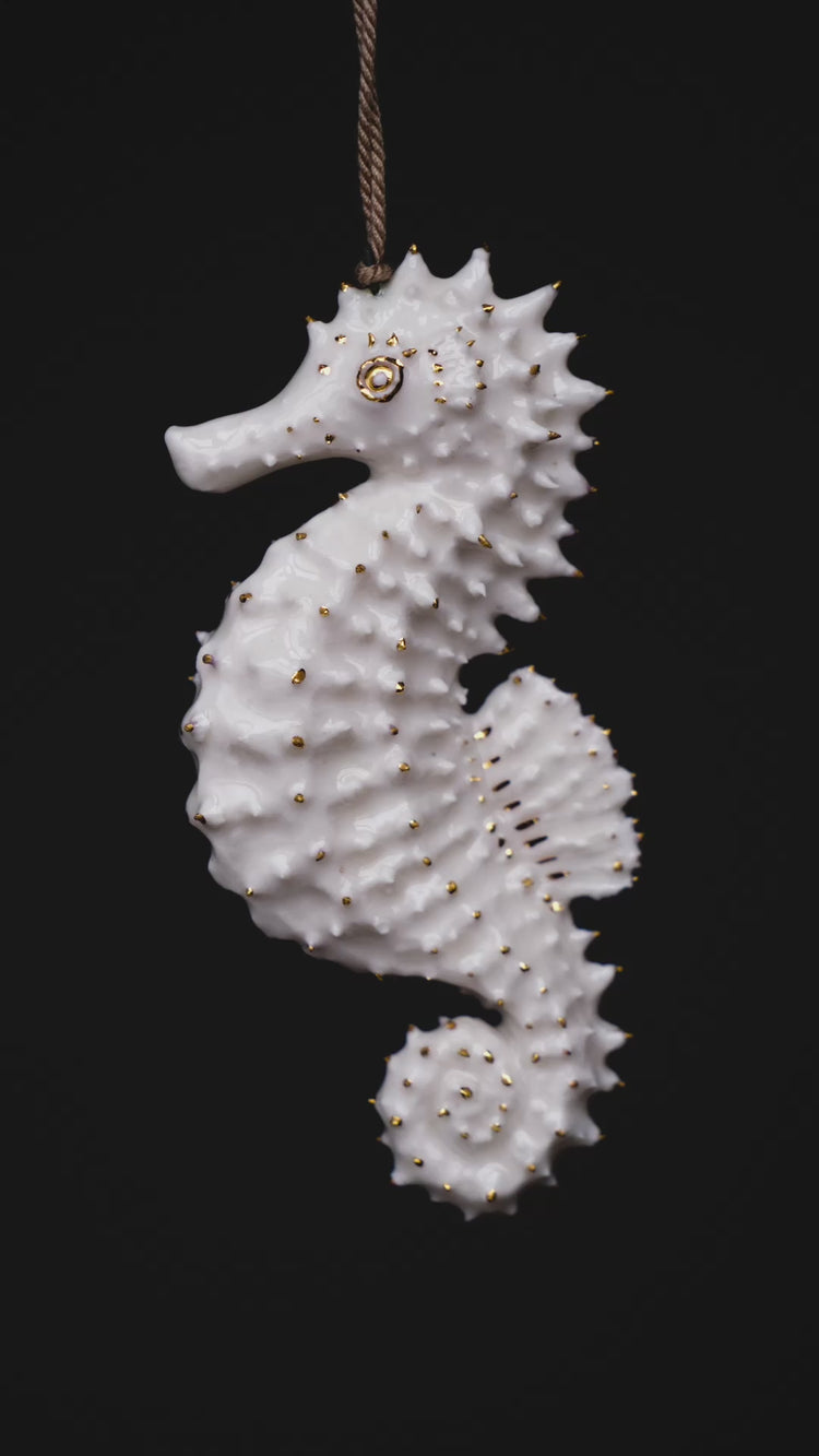 Seahorse Cecile