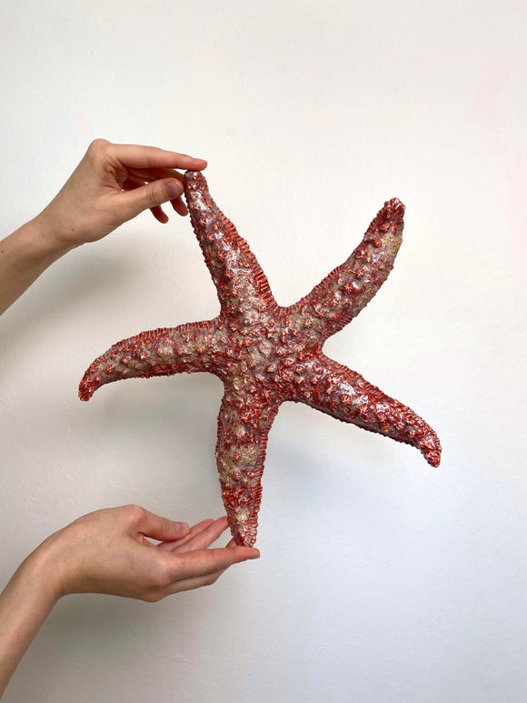 Red starfish