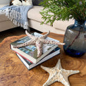 Starfish couple made of ceramics mounted on wall, seaside creatures, coastal style stars
