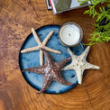 Starfish family made of ceramics mounted on wall, seaside creatures, coastal style stars