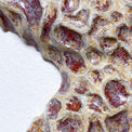 Starfish couple made of ceramics mounted on wall, seaside creatures, coastal style stars