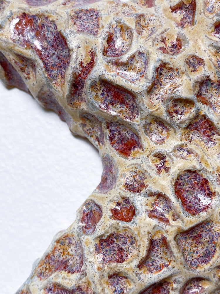 Starfish couple made of ceramics mounted on wall, seaside creatures, coastal style stars