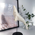 Ceramic sculpture “Albino humpback whale”, porcelain whale miniature