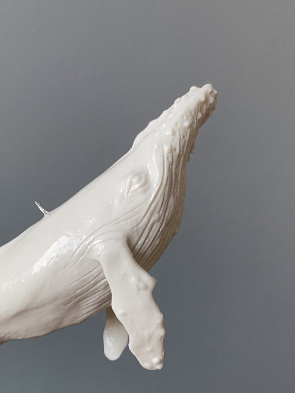 Frank – Porcelain whale sculpture
